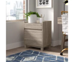 Margo Gray 2-Drawer Filing Cabinet -Home Furniture 810386285 A8 11