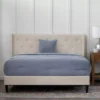 Isabelle Cream Upholstered Twin Wingback Bed -Home Furniture 810547603 810547607 810547628 810547611 1